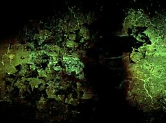 Check out this vintage erotic cartoon art collection! 😍