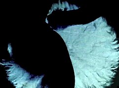 Vintage taboo scenes with a classic pussy and pooch storyline, cool stuff!