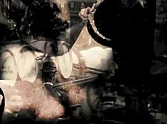 Vintage taboo scenes with a classic pussy and pooch storyline, cool stuff!