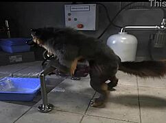 Damn, check out this H0rs3 compilation with insane machine pounding action!