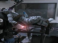 Damn, check out this H0rs3 compilation with insane machine pounding action!