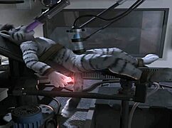 Damn, check out this H0rs3 compilation with insane machine pounding action!