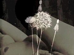 Dark Lantern Entertainment showcases top Victorian nudes in erotic confessions