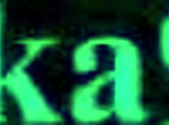 Hey, wanna see Panchy and Zangya's wild hentai sex?