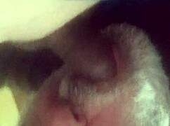 Chupei gostoso mesmo pinto do moreno 😘