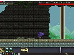 Explore Arms Bless Gallery