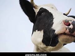 living the easy gay life with wild anal action 😈