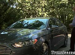 shemale babe gets intimate in high definition scene