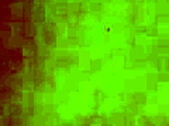 Damn, Em Nhung with those huge Vietnamese curves is pure fire!