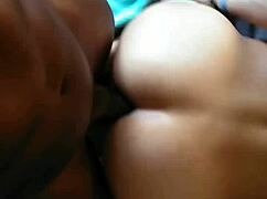 bbc breeding latino raw