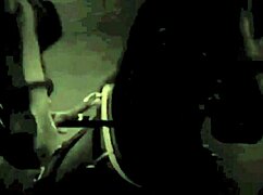 i can’t get enough of this retro hairy beaver action