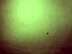 Got naked on cam, played with a bottle, then took dick with cum inside?