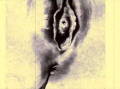 vintage erotic drawings with a retro anime vibe