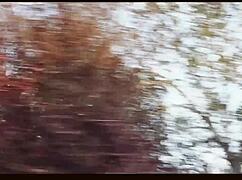 hey y'all, ever seen oklahoma farm sex in a wild music video like this?