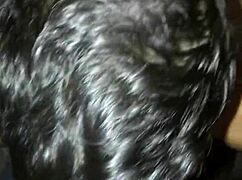 Diary Of Blowjobs Ii - Sucking A Follower