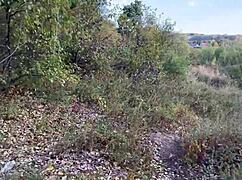 Атлетка чукана в задника в градския парк открито