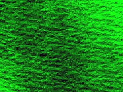 Kodoku's Successor Hentai Anime Gallery