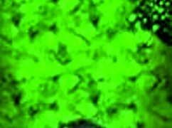 exploring the dark cave in scars of summer happy route part 3