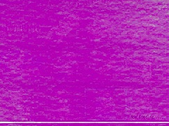 Kodoku's Successor Hentai Anime Gallery