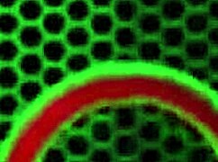 its e bunnz and sara jay in wild cowgirl banging.