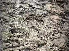 Stranger Blows Me On Beach