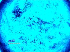 Explore the world of Eternum in episode 71.