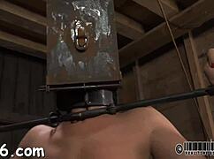 Hardcore Sadomasochism Porn Scenes
