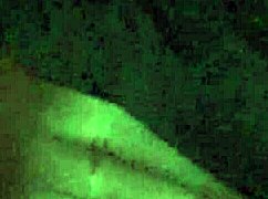 i'm an ebony slut giving a sloppy public blowjob in the car, choking on his monster cock while licking his balls