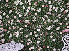 Amateur redhead tries on tiny swimsuit in neighbor roleplay.