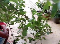 man, she found neighbor's huge bbc for anal fun