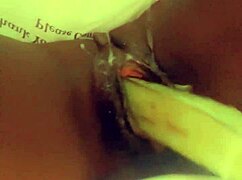 Veggie Anal Sex With Pussy Assfucking