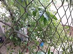 man, she found neighbor's huge bbc for anal fun