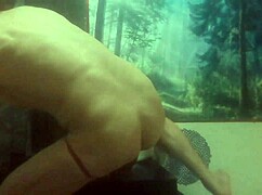 tranny 881 no 66 asks, 'do you like my ass?'