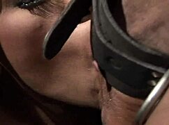 beautiful black milf sydnee capri in fishnet suit