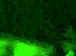 European Deep Throat And Gagging With Monster Cock