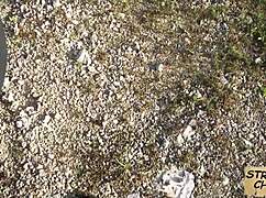 Tato stopařka 18+ se oddává čuráku při veřejném sbalení 