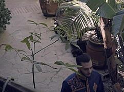 Yo, Queen Jasmine and Prince Adonis get steamy with wild foreplay action!