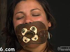 Sadomasochism Harness