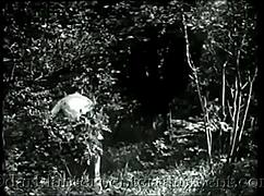 Dark lantern presents antique hairy beaver pussy in retro classic!