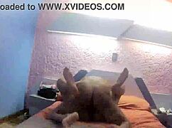 mexican amateur bent over sucking cock in casting