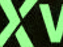 amateur bbw couple in homemade scene