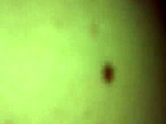 Horny roommate receives a creampie in the dorm