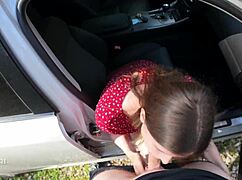 Seduced Driver With Sloppy Blowjob And Swallowed Cum