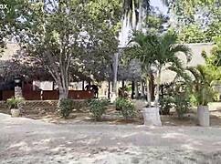 Shameless Monika Fox exposes naked tits while pissing outdoors under a tree