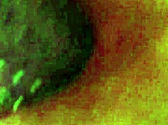 Little Friend Lends Hand?