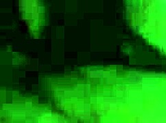 dude, watch this big booty bbw ride bbc like crazy! 😍