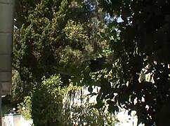 리사 앤 쇼티 맥 거대 BBC 받아들임