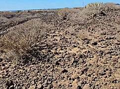 Real sex in the yellow mountain desert: full video on my red page.