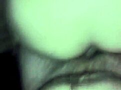 Аржентинска мачка свършва на четири крака