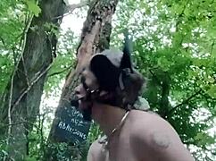 this 2024 forest scene shows a milf bound as a ponygirl slave